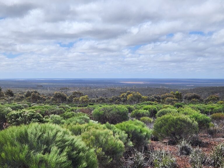 Medcalf Vanadium Project - Environmental Management Systems